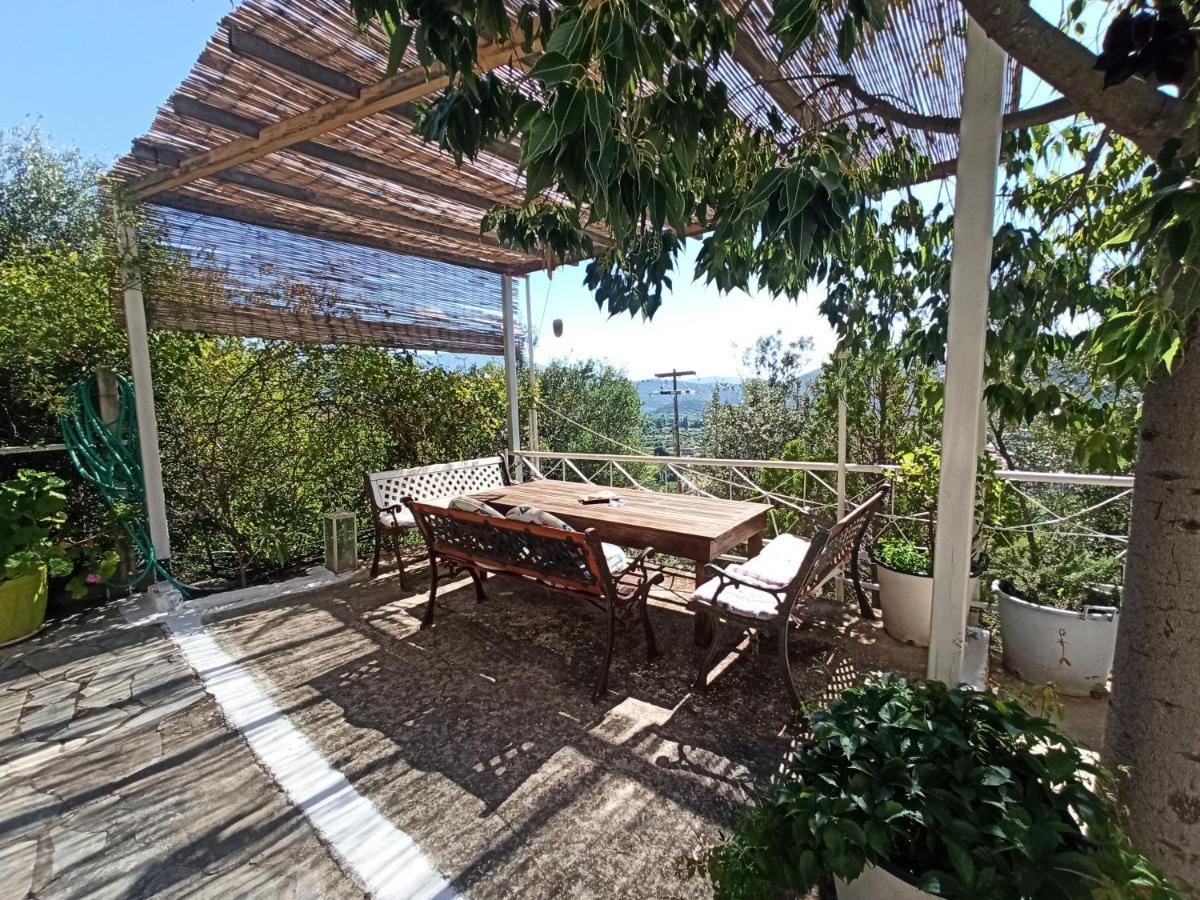 Heras Garden Vasiliki  Exterior photo