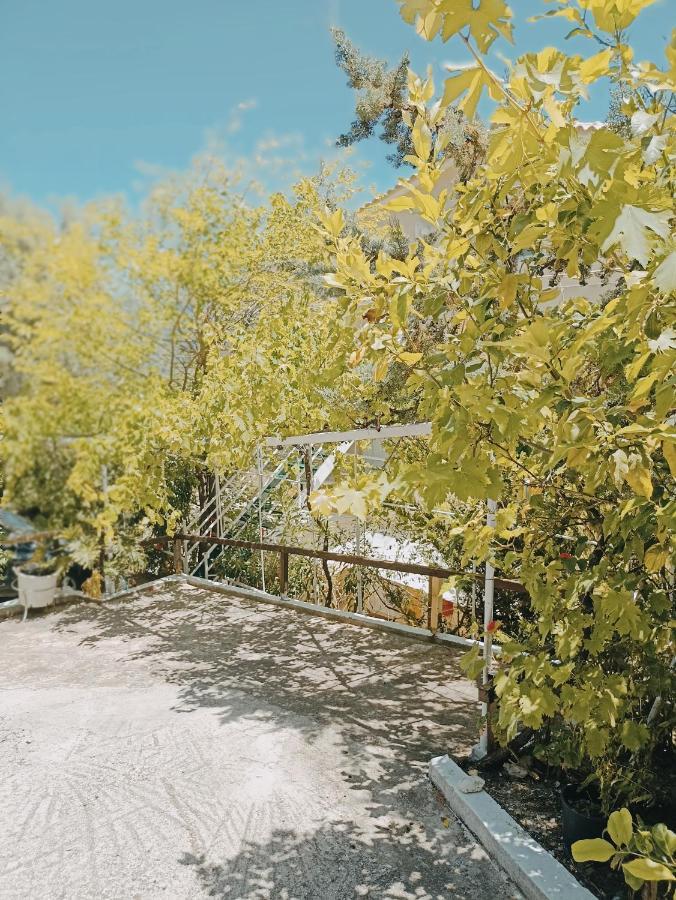 Heras Garden Vasiliki  Exterior photo