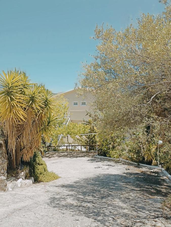 Heras Garden Vasiliki  Exterior photo